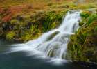 Iceland. Waterfall Dynjandi in Borgarfjordur during autumn. Art Print